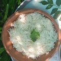 Adeya's cooksnap of when they made Boiled Rice😋.