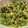 El cooksnap de Elena cuando hizo Guacamole.