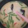 Cooksnap dari Sarah Dita untuk resep 385. Sayur Lodeh Sunda