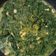Cooksnap dari Atun Doank untuk resep Sayur oblok oblok teri daun singkong