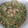 El cooksnap de Tamara Méndez López cuando hizo 🌱CUSCUS DE BRÓCOLI🌱.