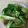 Cooksnap dari Ratna Sari untuk resep Pokcoy Garlic ala bunce