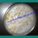 Varsha Karia I M Crazy About Cooking's cooksnap of when they made બૂંદી નું રાયતું.
