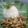 Cooksnap dari Anny Risyani untuk resep Kandas Sarai