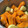 El cooksnap de begoigualada cuando hizo Crema de calabaza (con y sin thermomix).