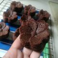 Cooksnap dari Aliyah Tintin untuk resep Brownies Kukus Nyoklat | 2 telur