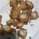 รูป Cooksnap ของ Supaporn Kongsawat เมื่อเขาทำ หมูกรอบใช้Air fryer