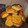El cooksnap de Caro Rodriguez VR cuando hizo Facturas fáciles 😋🥐.