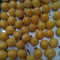 Cooksnap dari Elsa Andriyani putri untuk resep Nastar Classic Wijsman