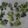 El cooksnap de Mavericks cuando hizo Chips de Kale.