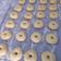 Cooksnap dari Rini Umiyumnafis untuk resep Donat Empuk dan Lembut
