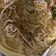 Cooksnap dari Babybiskuat untuk resep Thai Green Curry