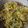 Cooksnap dari Thea.tantia untuk resep Bakwan Jagung Gluten Free