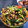 Philip Pantelides's cooksnap of when they made Vickys Sauteed Cabbage with Leek and Apple, GF DF EF SF NF.