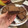 El cooksnap de Gemma Cardona Coll cuando hizo Brownie de chocolate.