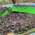 Cooksnap dari Risa Alfath Annisa untuk resep martabak manis / terang bulan kenyal 