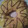 El cooksnap de Robertocarlos Flores cuando hizo Rosca de pascuas (rinde dos roscas).