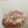 Cooksnap dari Anita untuk resep Pizza Magic Com