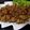 Nikita Sarraf Rita's cooksnap of when they made Kathal Masala Recipe.