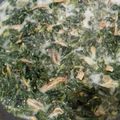 Cooksnap dari Livia Puspa untuk resep Daun Singkong Santan
