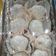 Cooksnap dari Diyana Suparwoko untuk resep Mochi isi Kacang Gula