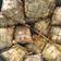 Cooksnap dari Natasia Tambunan untuk resep Ketupat Pulut Santan khas Medan