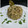 El cooksnap de Becky cuando hizo Risotto de setas.