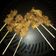 Cooksnap dari Mput Uput untuk resep Sate Daging Sapi Bumbu Rempah Masak Teflon Super Empuk