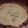 El cooksnap de silviadri cuando hizo Tarta de cebolla y queso.