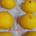 Cooksnap dari tjen yulia untuk resep Pao labu kuning