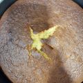 El cooksnap de Ivan Cabrera cuando hizo Bizcocho de naranja (con cobertura o sin cobertura de chocolate).