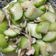 庭秀 的 鴻禧菇炒絲瓜 cooksnap