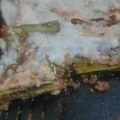 El cooksnap de Micaela V Rizzo cuando hizo Lasagna de carne.