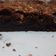 Cooksnap dari bundo syafiq untuk resep Brownies Panggang Chennie Zang