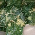 Cooksnap dari Mariny pjtn untuk resep Keripik Bayam Renyah Tahan Lama