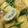 Cooksnap dari drynaknight untuk resep Sosis Solo