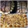 صورة من شروق أبو حمورchef.shoroq abu hammour 👩🏻‍🍳👑، شاركها بعد تجربة وصفة بيتزا