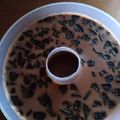 Cooksnap dari Utami Triningtyas untuk resep Puding susu coklat oreo
