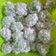 Cooksnap dari Desy untuk resep Kue Klepon