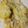 jane.hughes.52493's cooksnap of when they made Chicken and Dumpling Casserole.