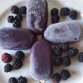 El cooksnap de Jose cuando hizo Helado de moras (sin lactosa).