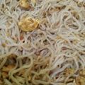 Cooksnap dari Rainny Situmorang untuk resep Mie shirataki goreng #keto