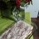 El cooksnap de ines navarro cuando hizo Tiramisú para quedar como una reina con la familia.