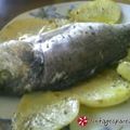 Cooksnap από elenixania στη συνταγή Τσιπούρες με δενδρολίβανο και μουστάρδα
