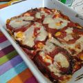 il Ben Nutrirsi - Dott.ssa Francesca Maria Tornatore quando ha preparato Parmigiana di Melanzane fritte