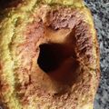 El cooksnap de elivacc.chivil cuando hizo Budín de naranja, húmedo y esponjoso.