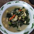 Cooksnap dari emelia untuk resep Tempe Sayur Santan Daun Pakis