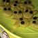 Cooksnap dari anii suwartini untuk resep Milo Cookies Eggless Teflon/ #pr_adakejunya