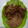 Cooksnap dari Inun Nada untuk resep Sate jamur tiram bumbu kacang#bakulan