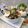 Cooksnap dari Agustin Kartika Dewi untuk resep RAWON Suroboyo